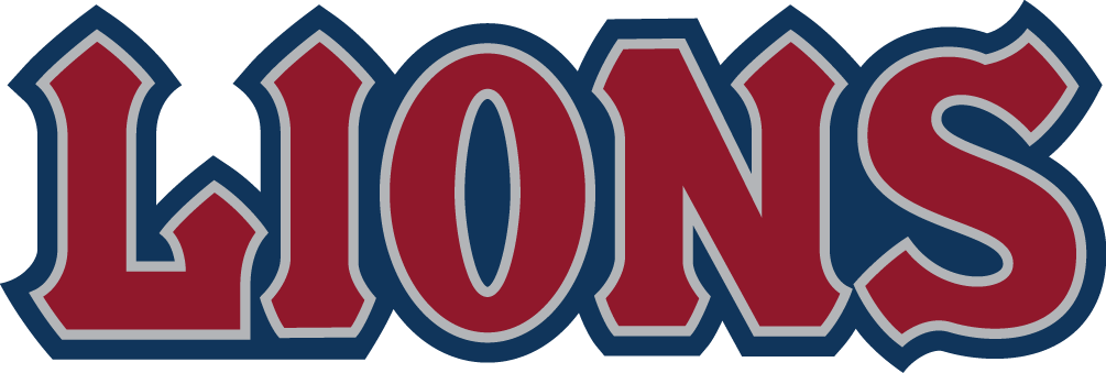 Loyola Marymount Lions 2008-2018 Wordmark Logo v2 iron on transfers for T-shirts